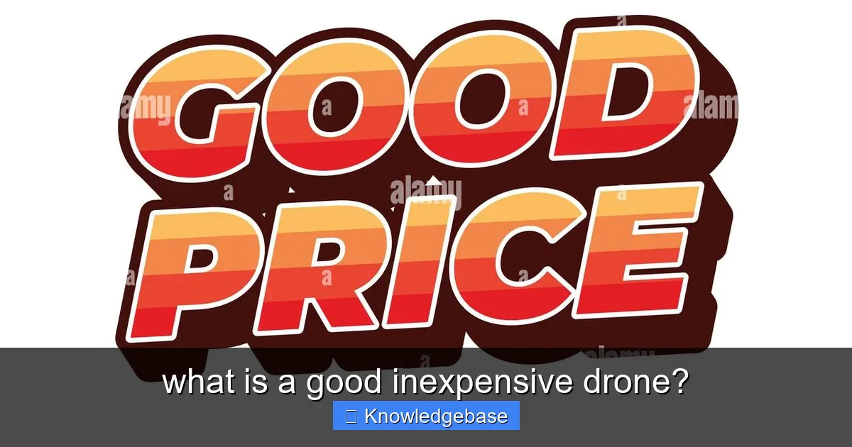 what is a good inexpensive drone? - content1 visual guide