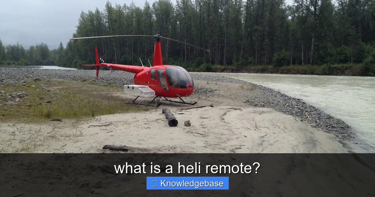 what is a heli remote? - content1 visual guide