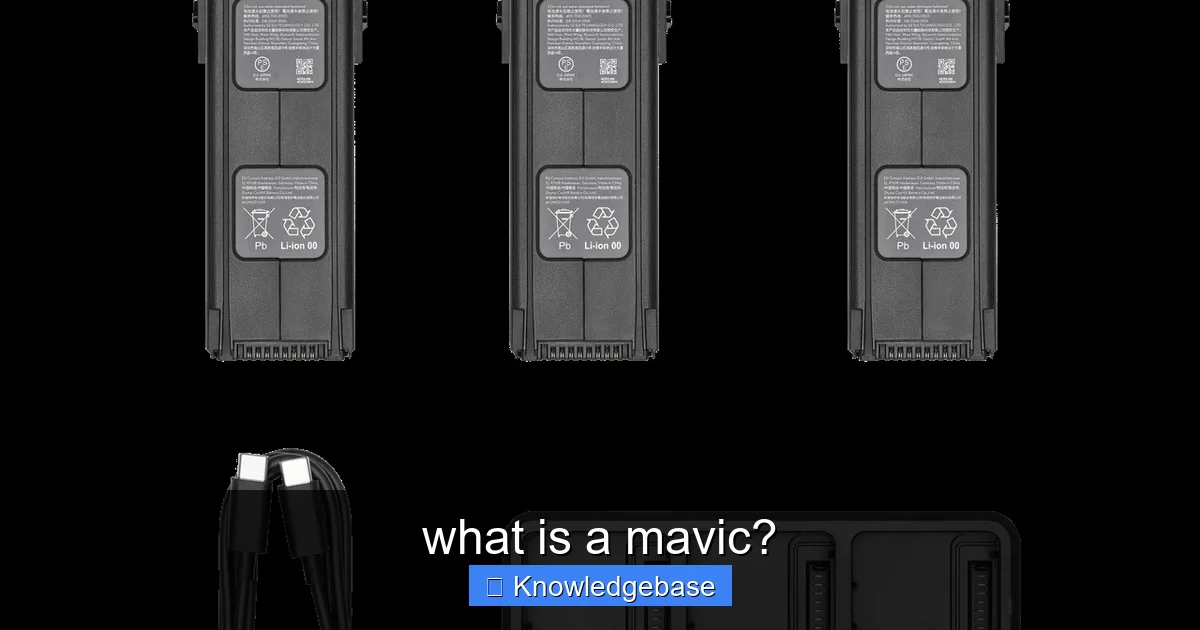 what is a mavic? - content1 visual guide