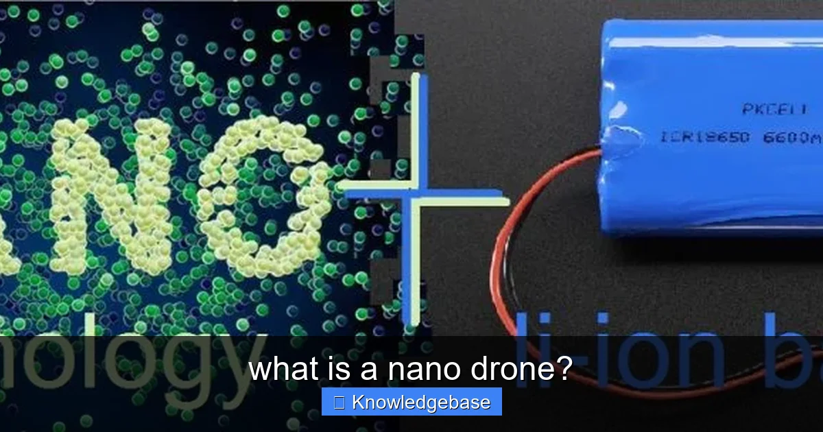 what is a nano drone? - content1 visual guide