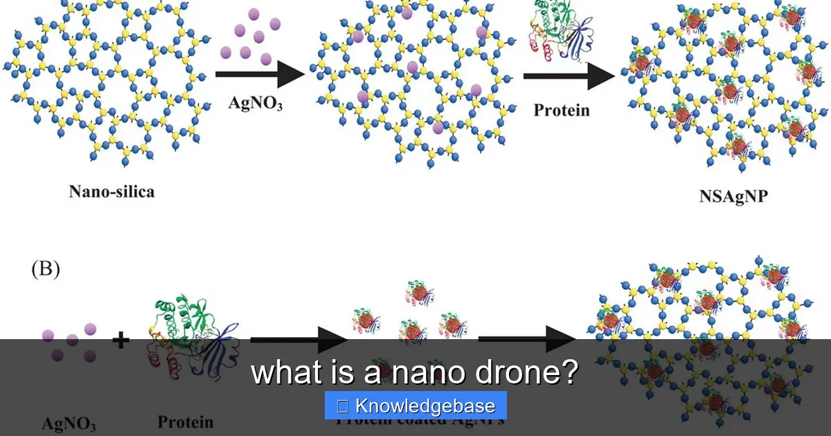 what is a nano drone? - content2 visual guide