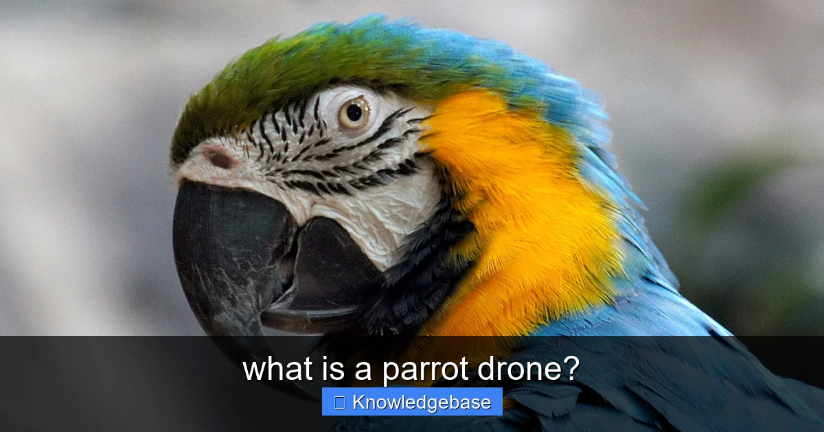 what is a parrot drone? - content1 visual guide
