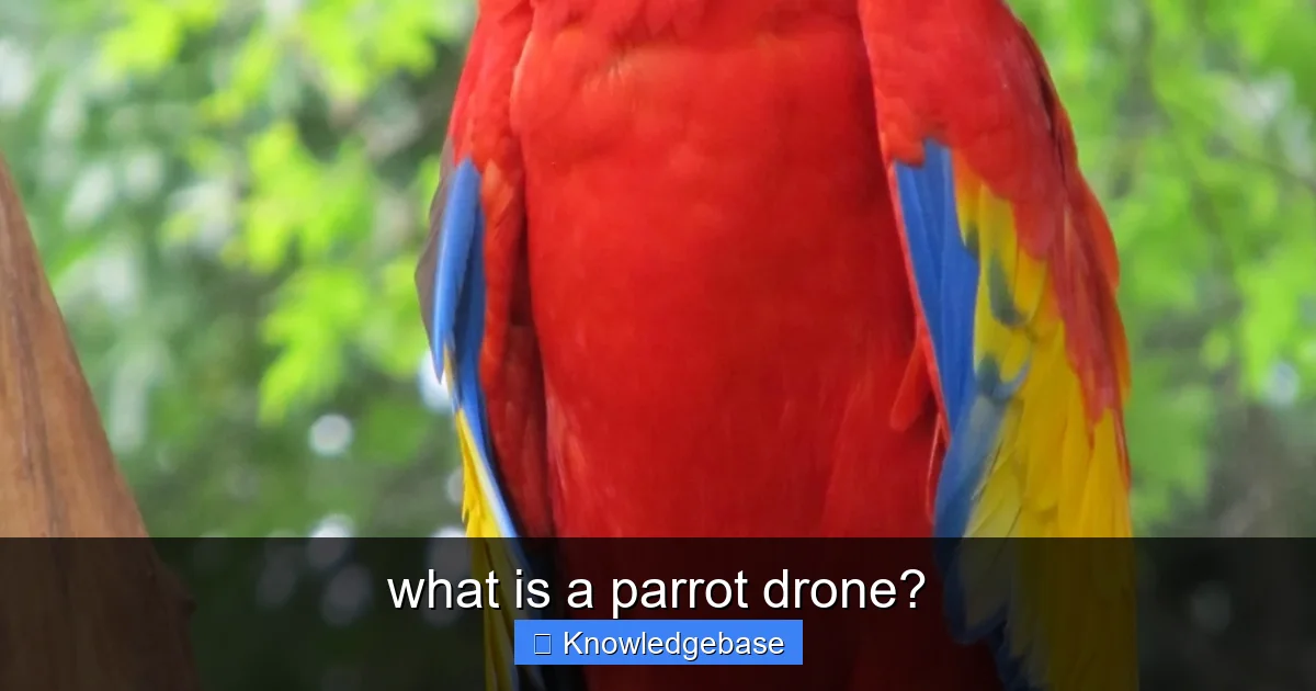 what is a parrot drone? - content2 visual guide