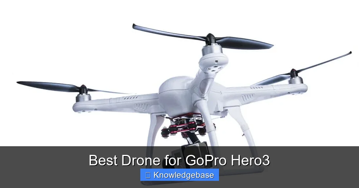 Best Drone for GoPro Hero3 - content1 visual guide