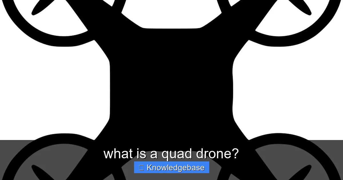 what is a quad drone? - content1 visual guide