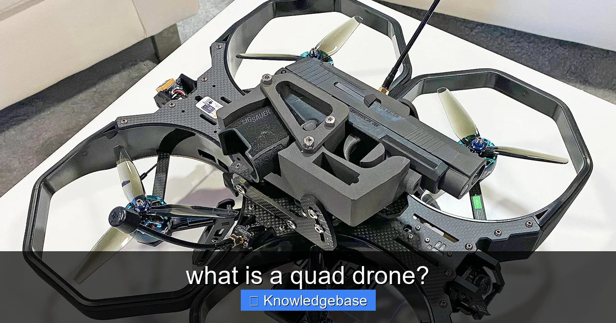 what is a quad drone? - content2 visual guide