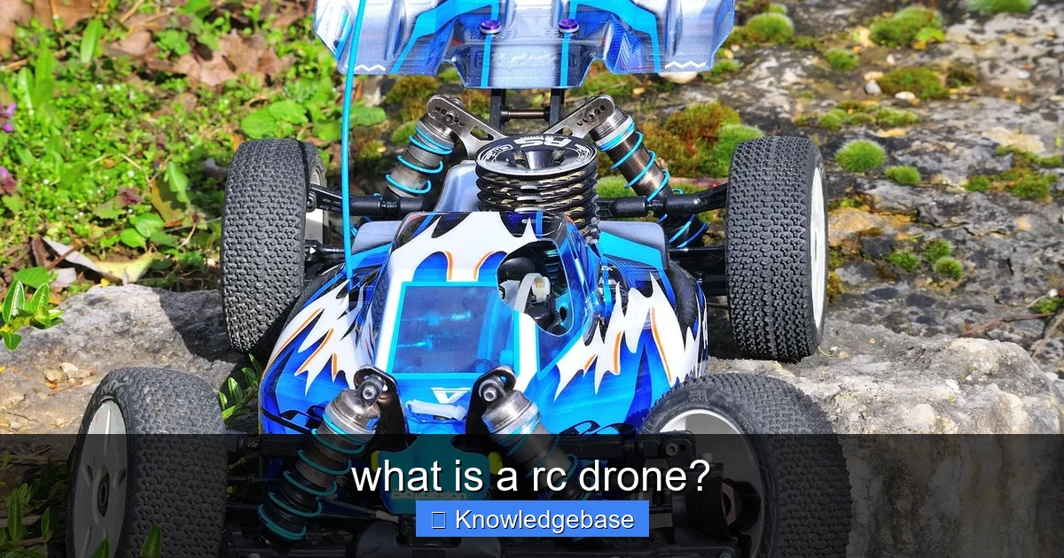 what is a rc drone? - content1 visual guide