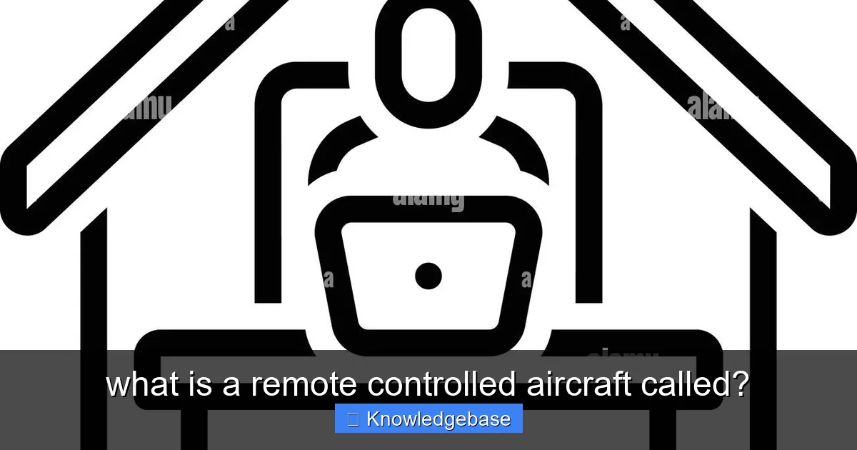 what is a remote controlled aircraft called? - content2 visual guide