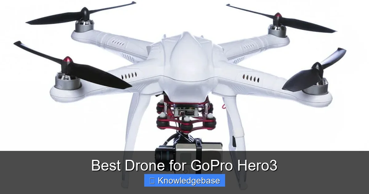 Best Drone for GoPro Hero3 - content2 visual guide