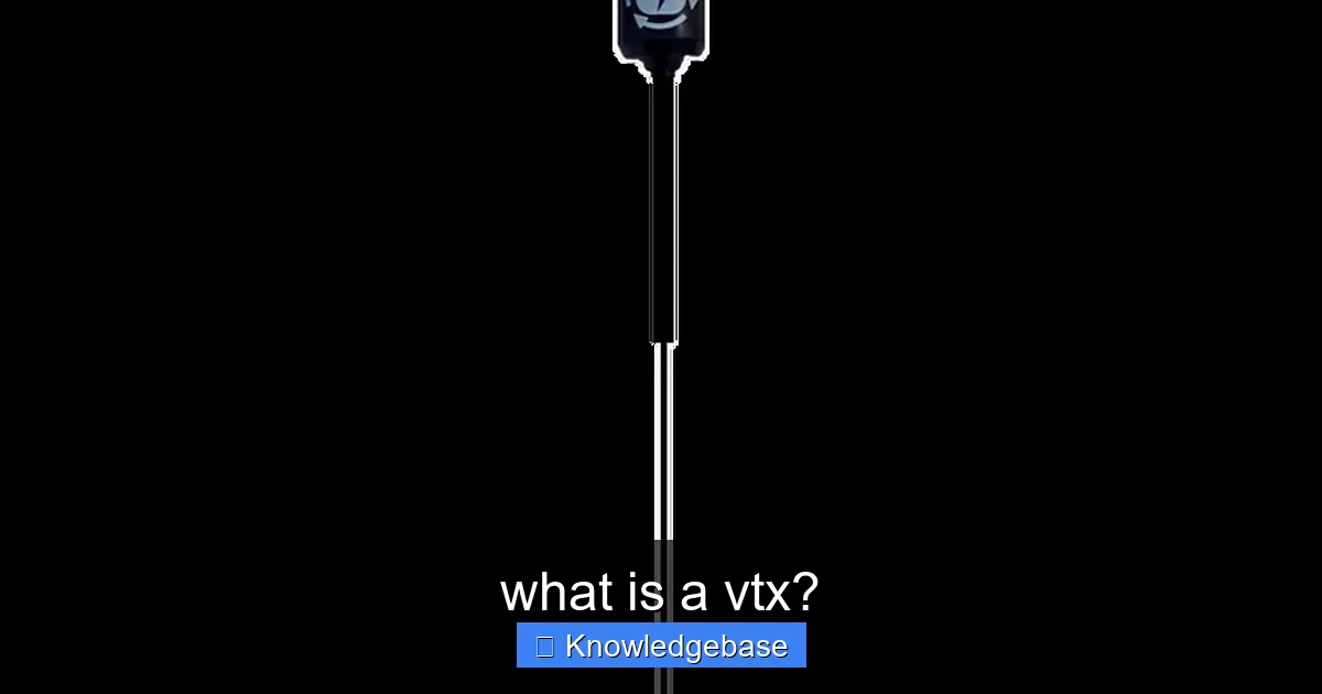 what is a vtx? - content1 visual guide