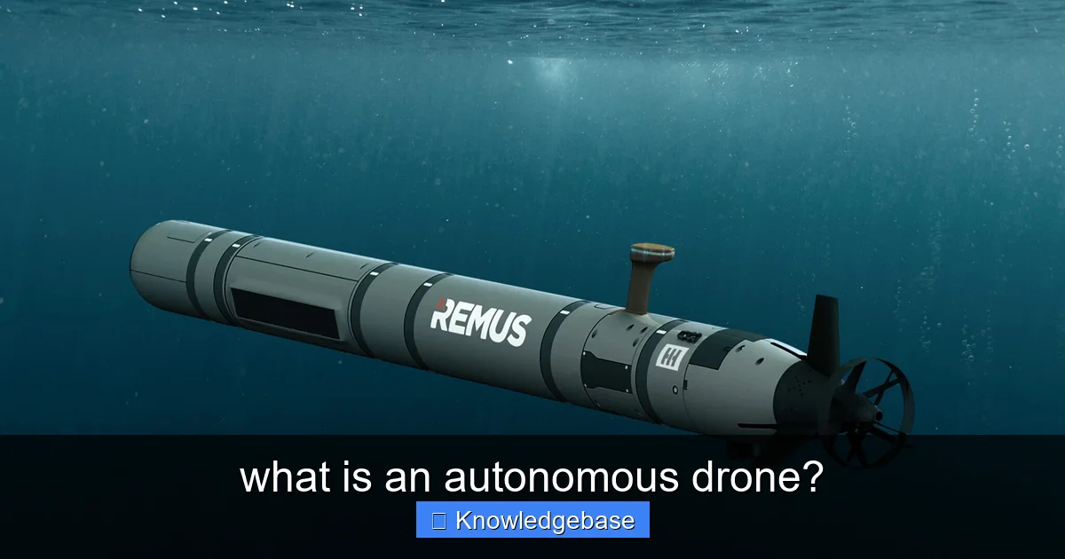 what is an autonomous drone? - content2 visual guide