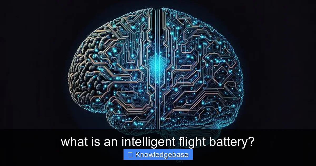 what is an intelligent flight battery? - content1 visual guide