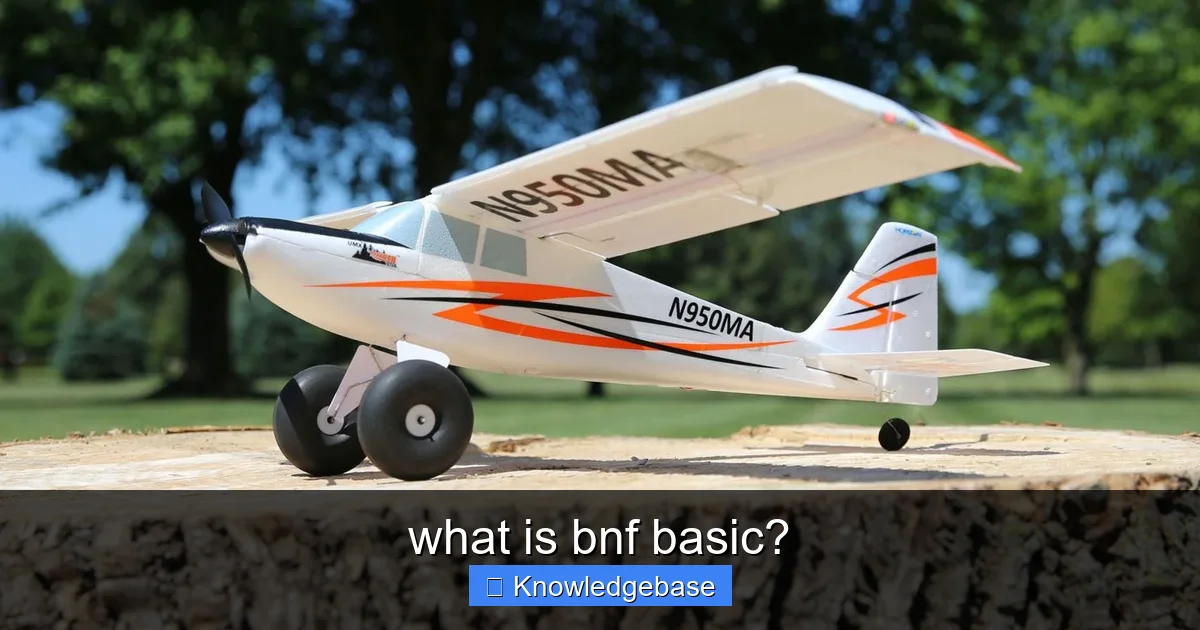 what is bnf basic? - content1 visual guide