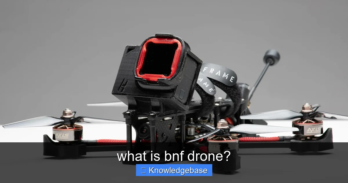 what is bnf drone? - content1 visual guide