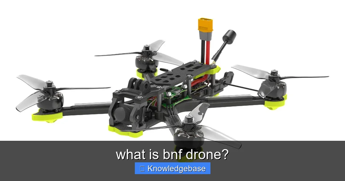 what is bnf drone? - content2 visual guide