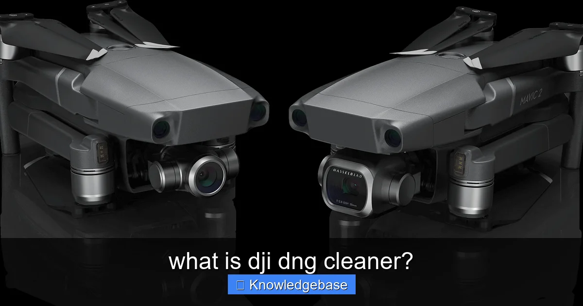 what is dji dng cleaner? - content1 visual guide