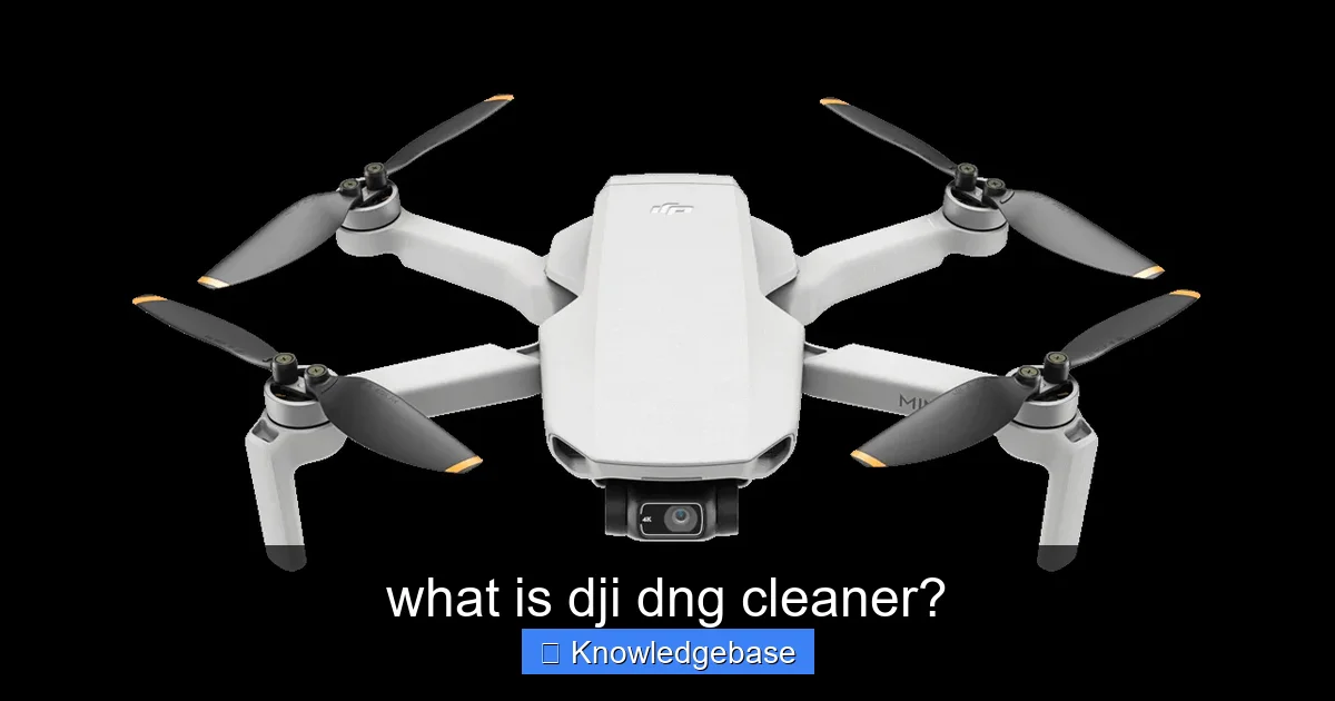what is dji dng cleaner? - content2 visual guide