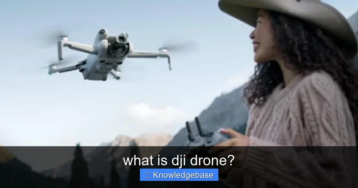 what is dji drone? - content2 visual guide