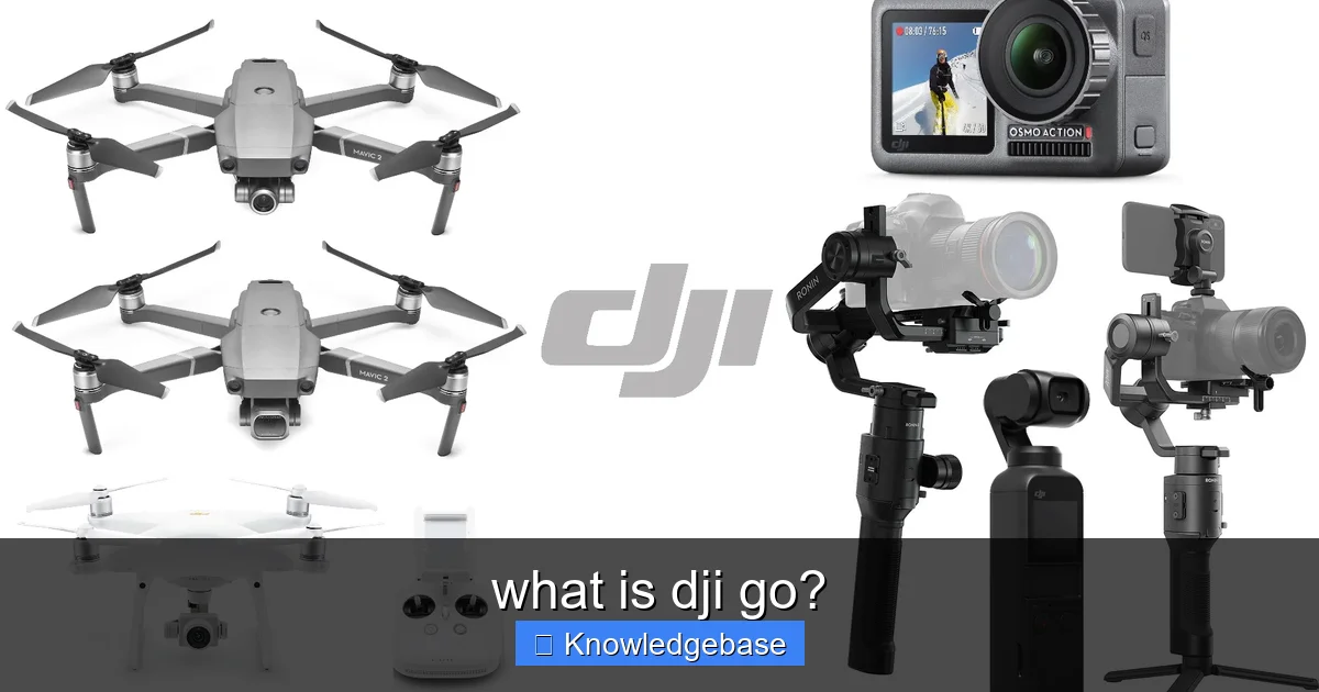 what is dji go? - content1 visual guide