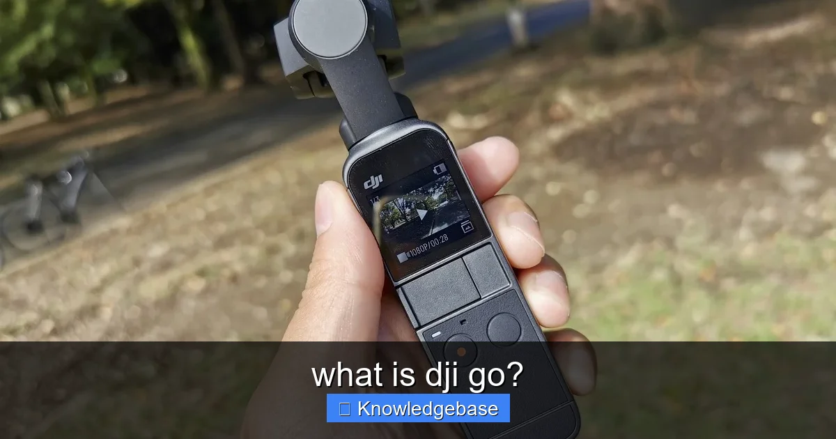 what is dji go? - content2 visual guide