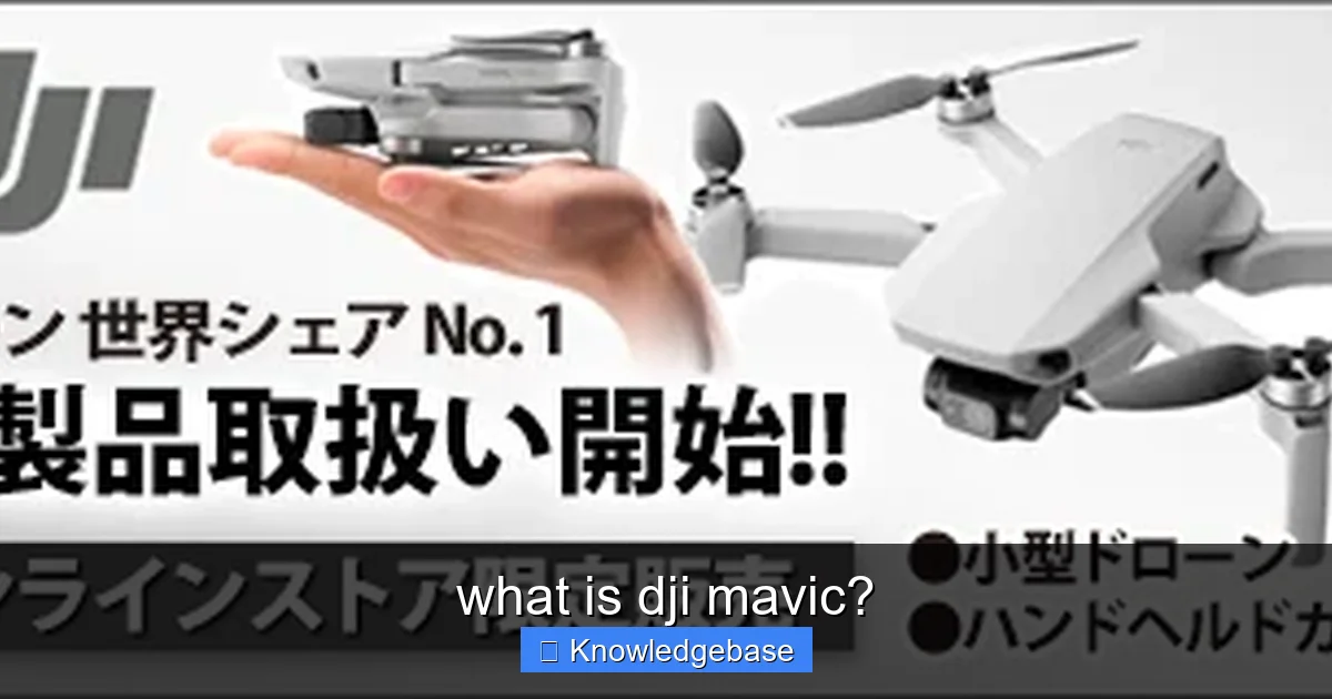what is dji mavic? - content1 visual guide