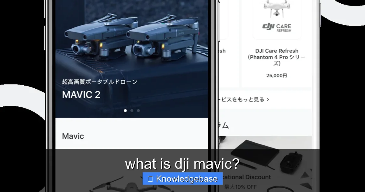 what is dji mavic? - content2 visual guide