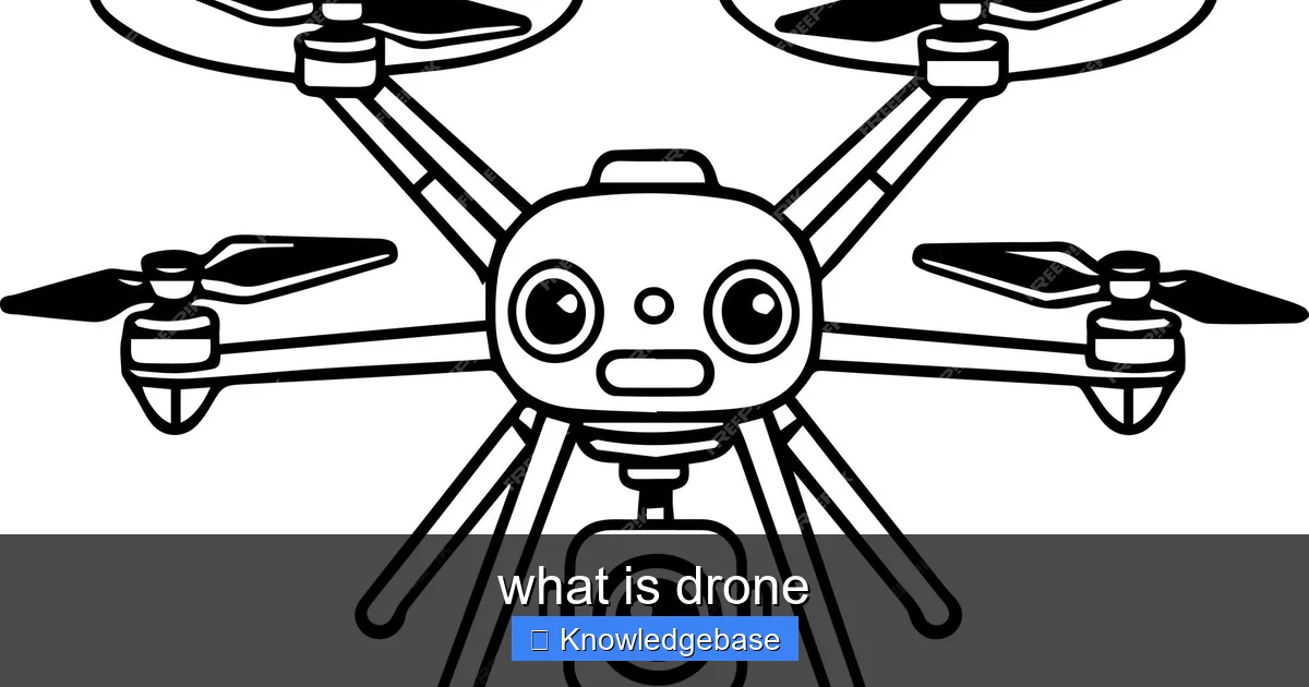 what is drone - content1 visual guide