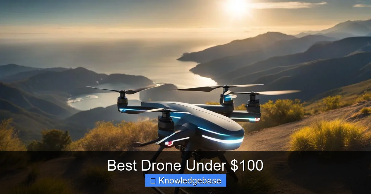 Best Drone Under $100 - content1 visual guide