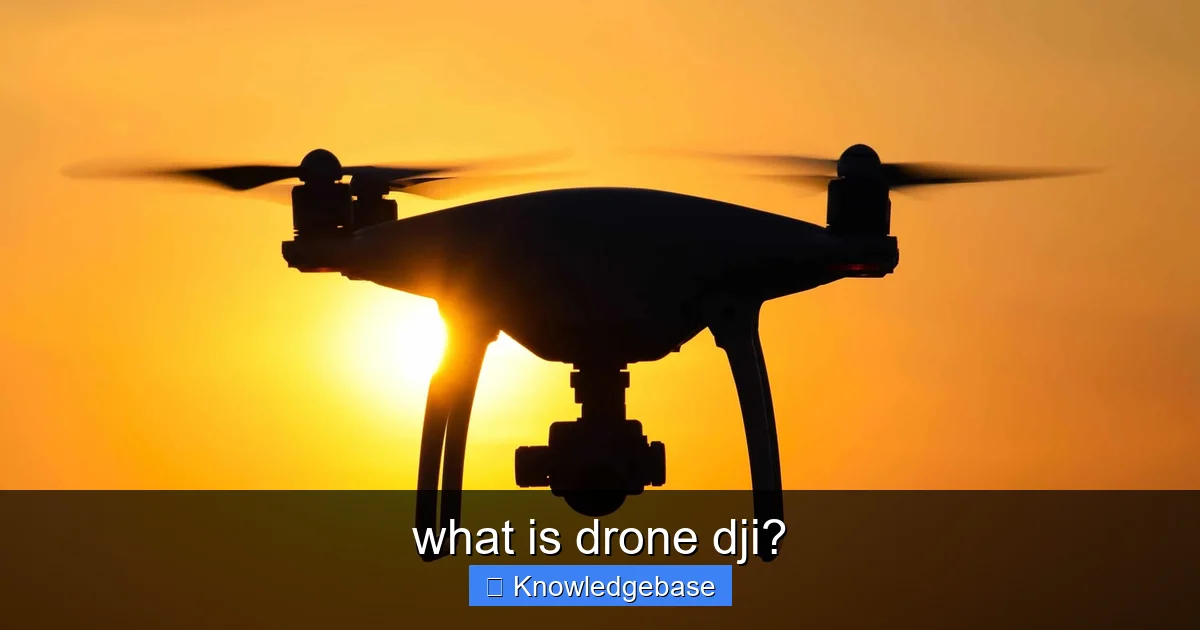 what is drone dji? - content1 visual guide