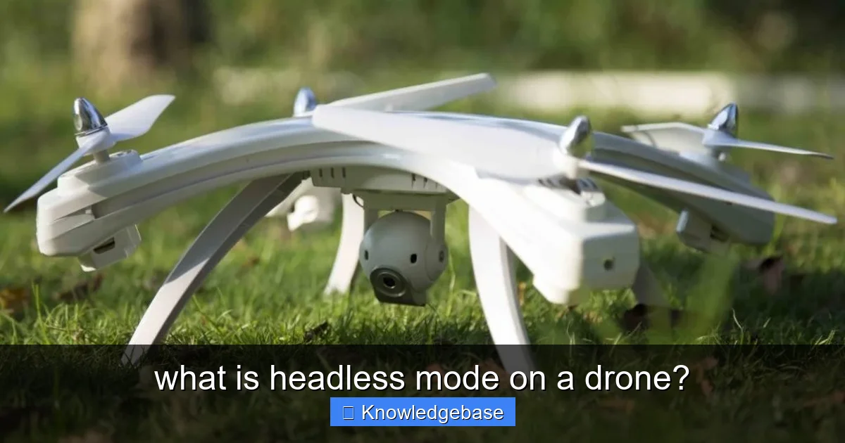 what is headless mode on a drone? - content1 visual guide