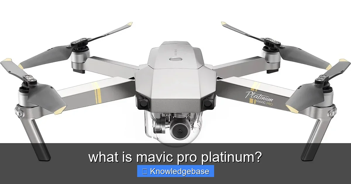 what is mavic pro platinum? - content1 visual guide