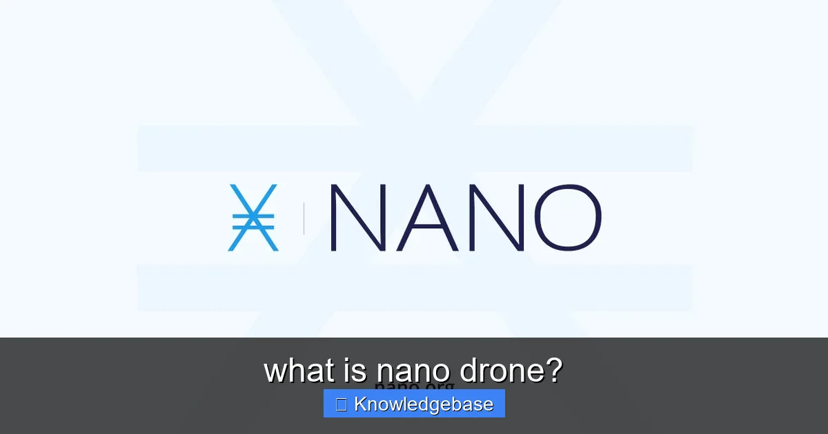 what is nano drone? - content1 visual guide