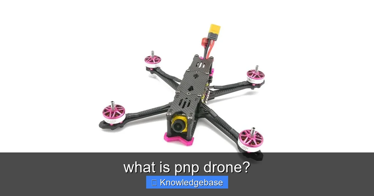 what is pnp drone? - content1 visual guide