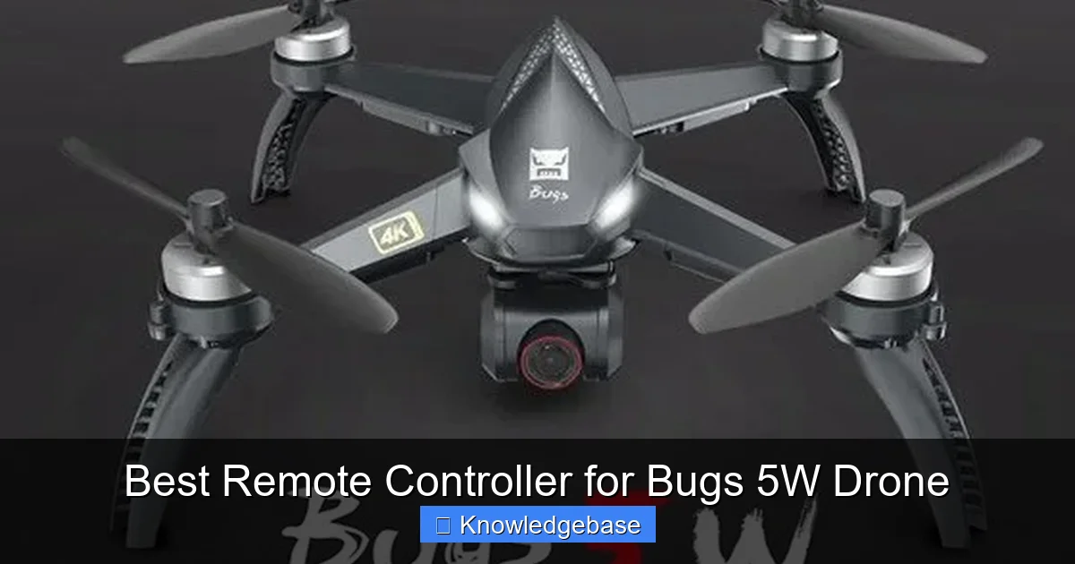 Best Remote Controller for Bugs 5W Drone - content1 visual guide