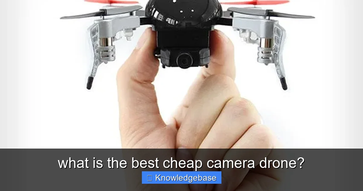 what is the best cheap camera drone? - content1 visual guide