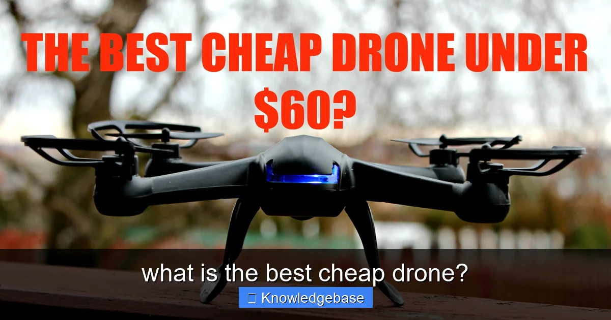 what is the best cheap drone? - content1 visual guide