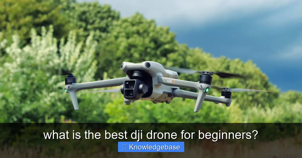 what is the best dji drone for beginners? - content1 visual guide