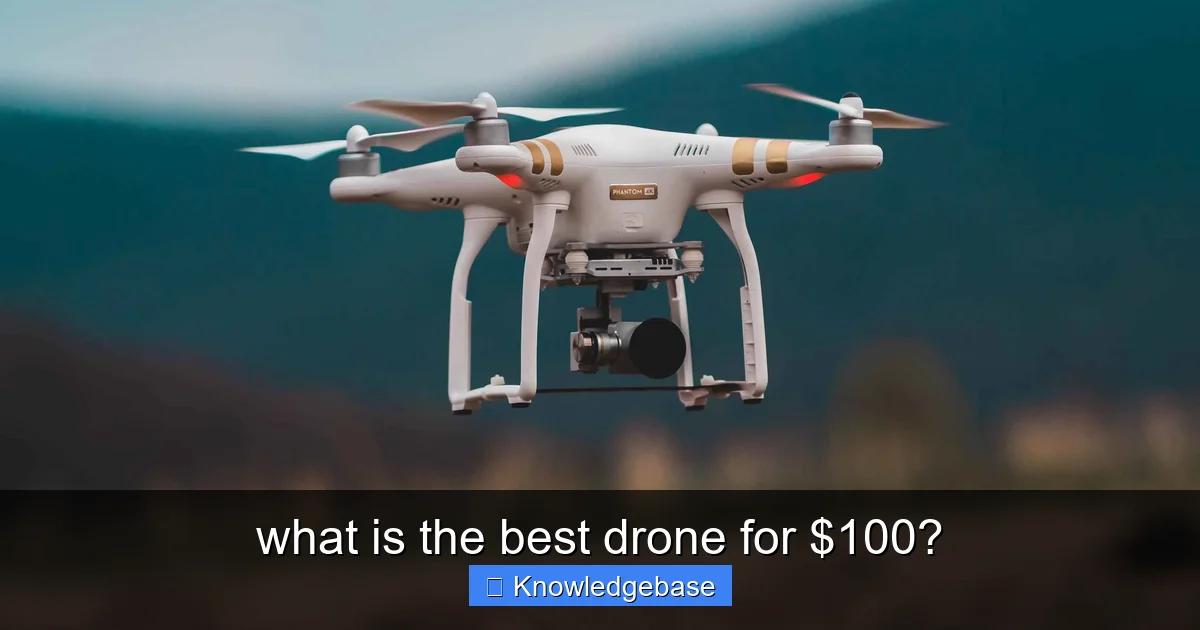 what is the best drone for $100? - content1 visual guide