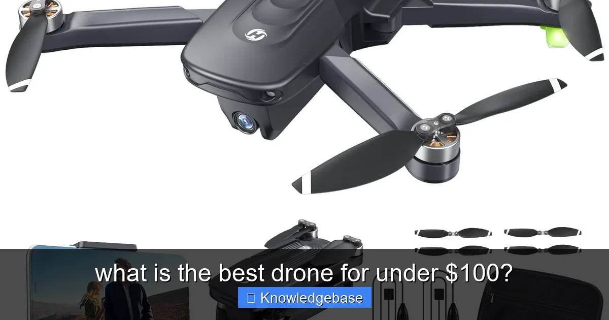 what is the best drone for under $100? - content1 visual guide