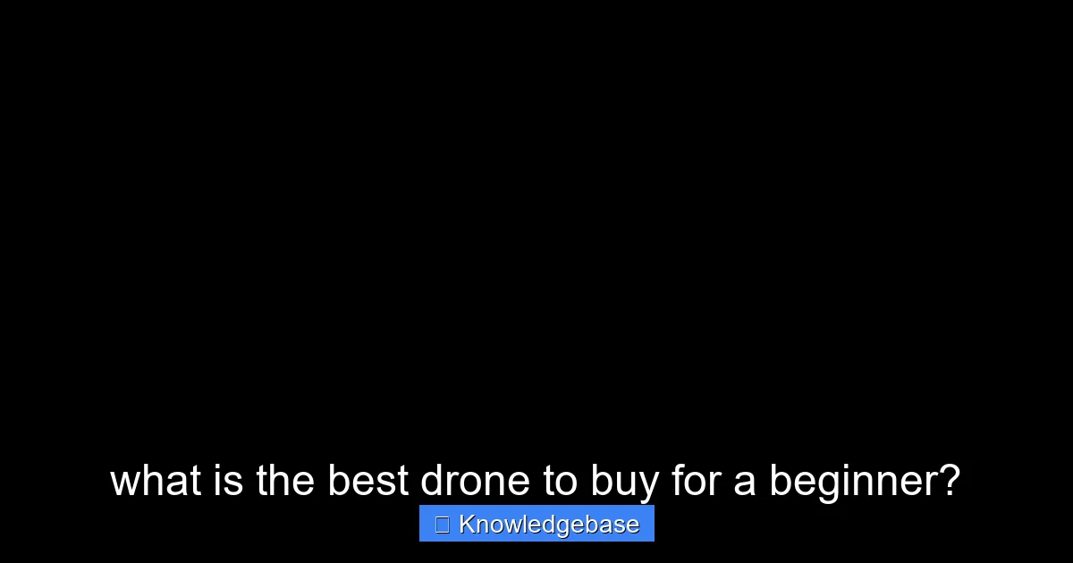 what is the best drone to buy for a beginner? - content1 visual guide