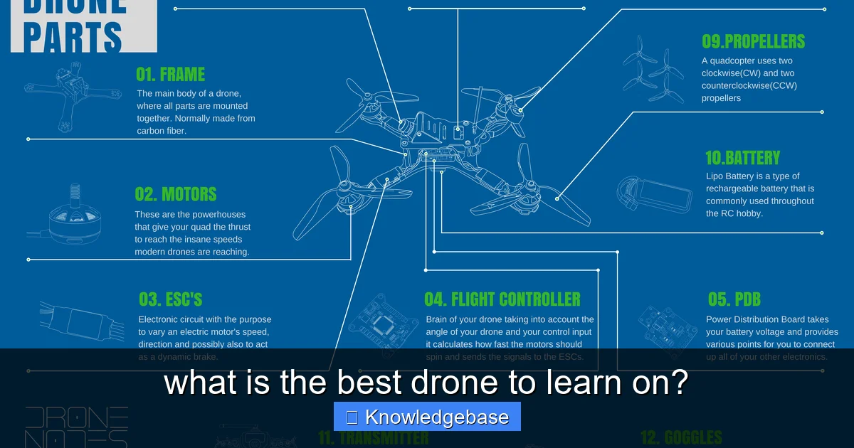what is the best drone to learn on? - content1 visual guide