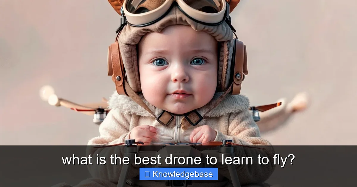 what is the best drone to learn to fly? - content1 visual guide