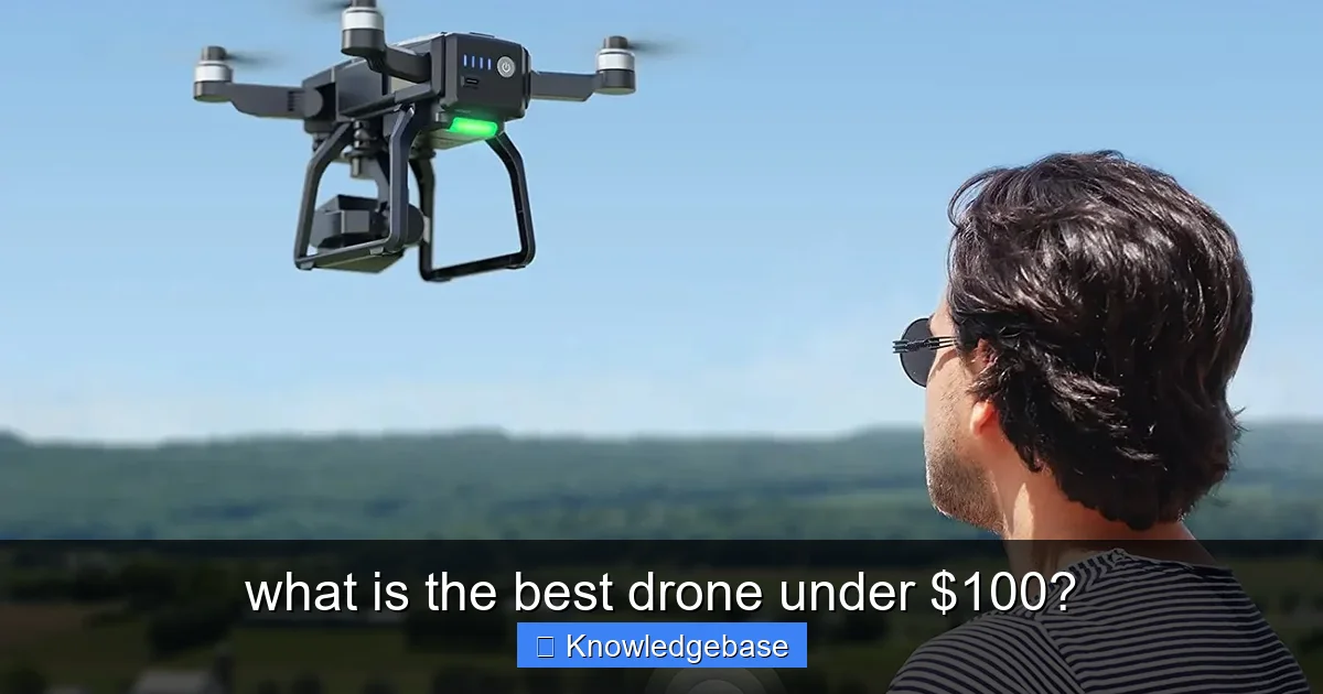 what is the best drone under $100? - content1 visual guide