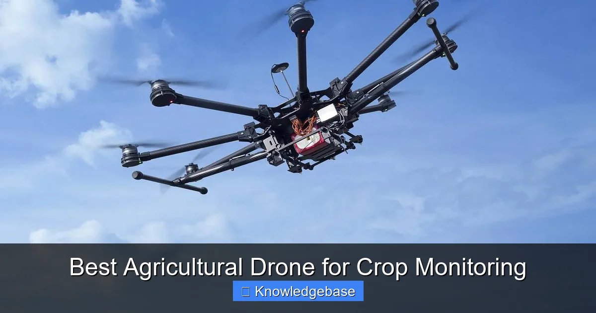 Best Agricultural Drone for Crop Monitoring - content1 visual guide
