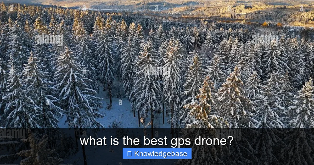 what is the best gps drone? - content2 visual guide