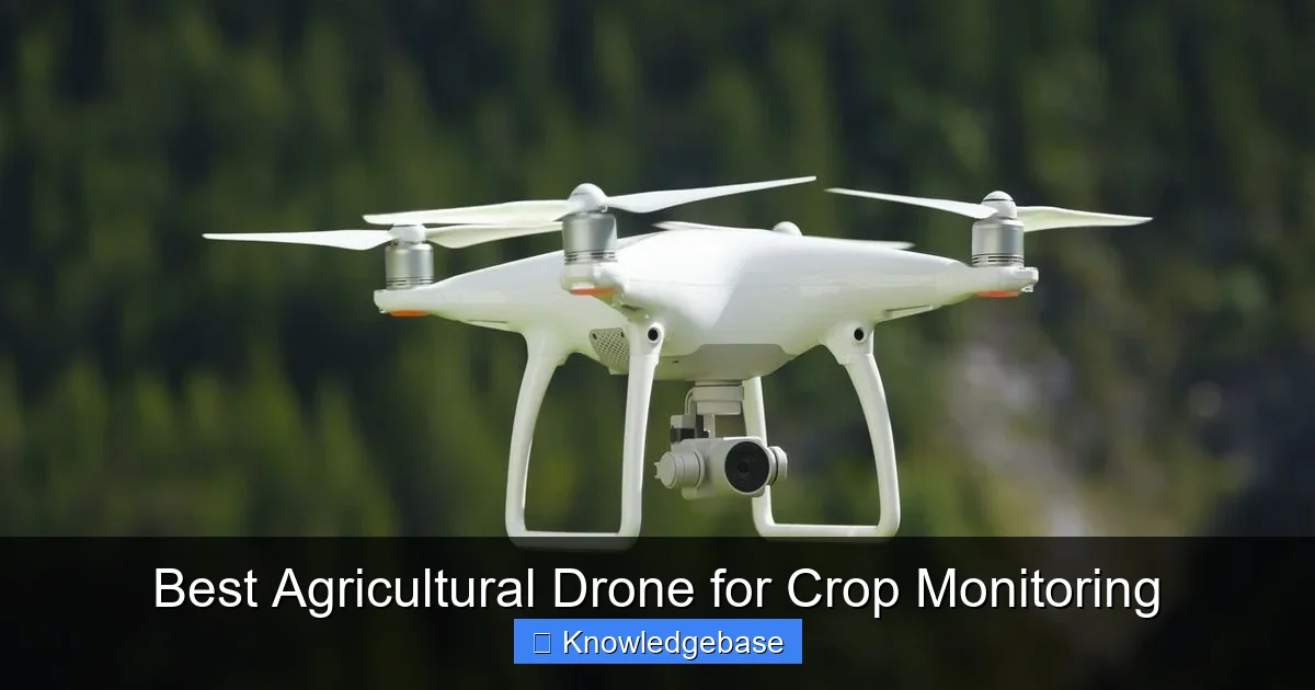 Best Agricultural Drone for Crop Monitoring - content2 visual guide
