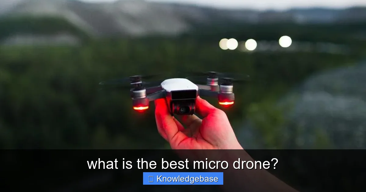 what is the best micro drone? - content1 visual guide
