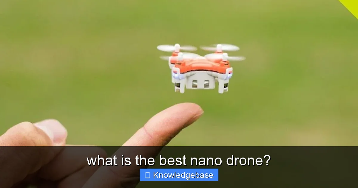 what is the best nano drone? - content2 visual guide