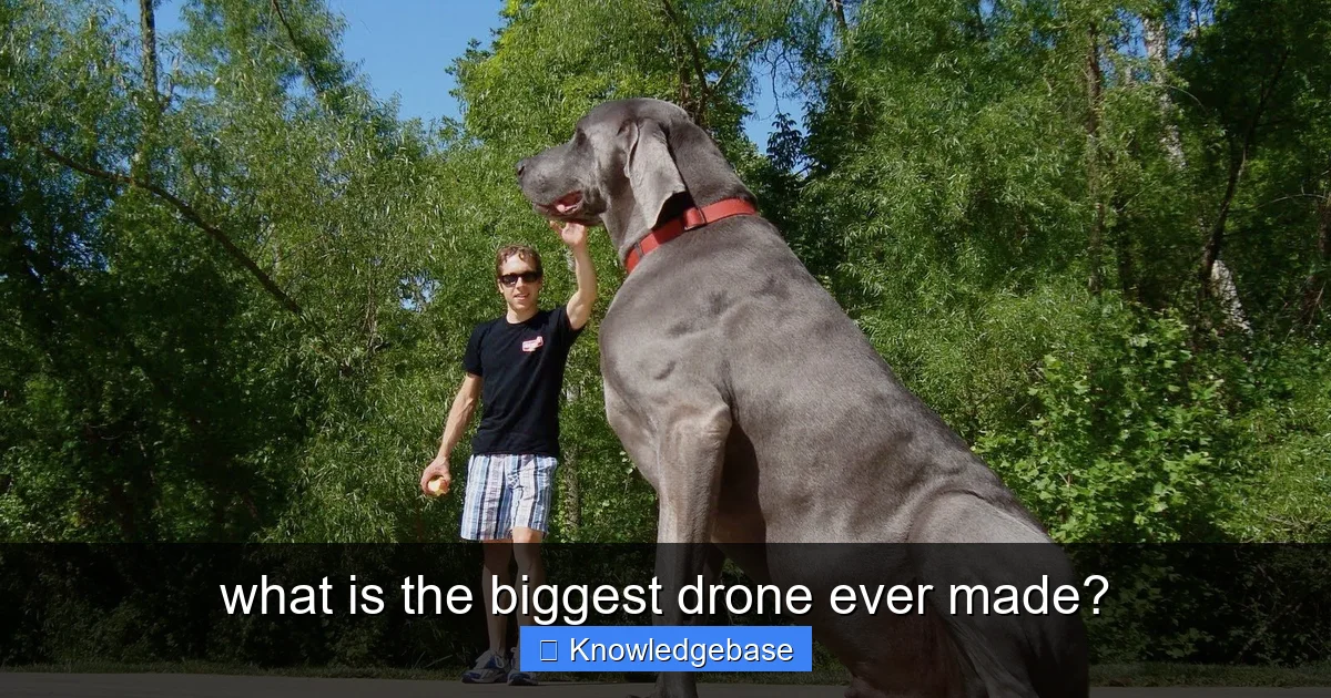what is the biggest drone ever made? - content1 visual guide