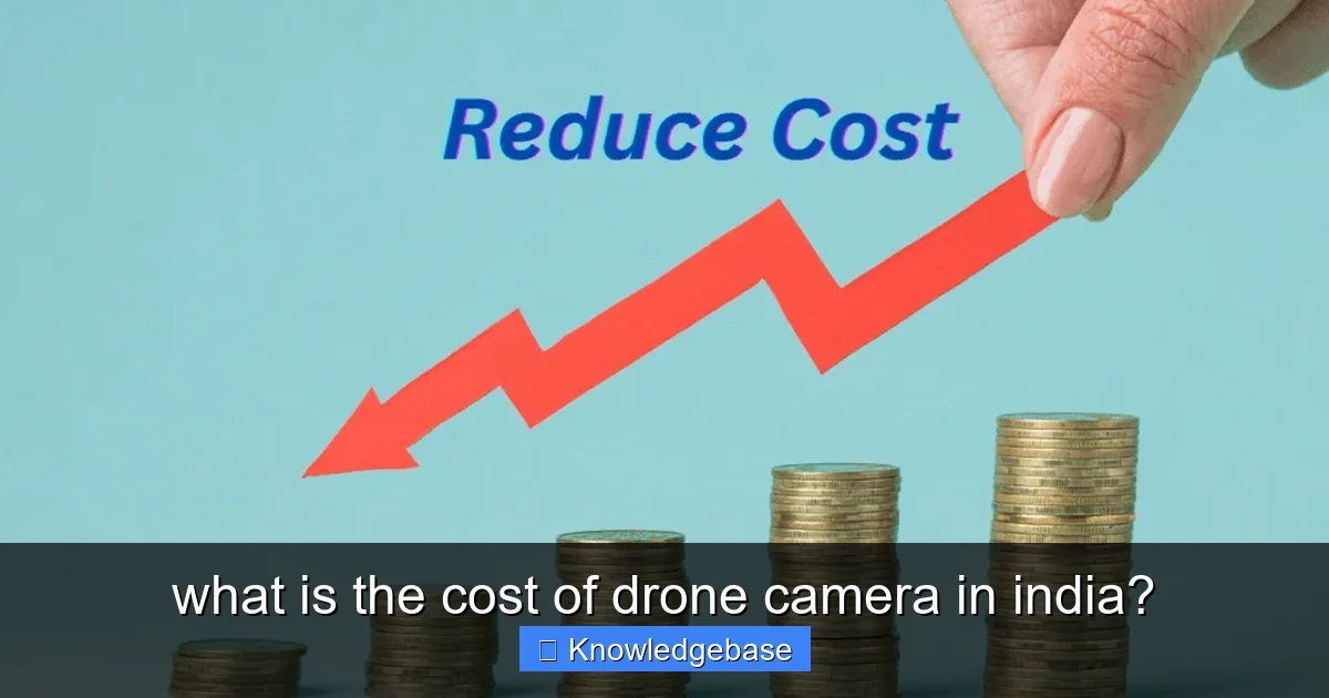 what is the cost of drone camera in india? - content1 visual guide